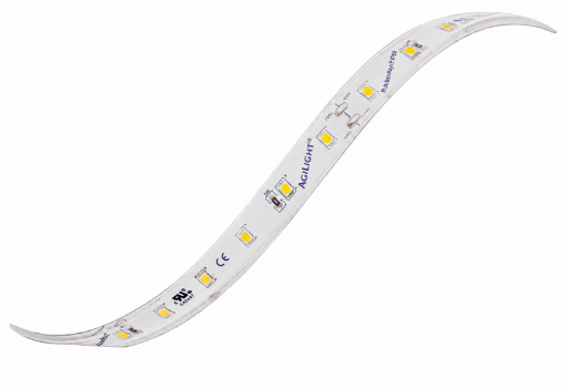 Picture of RIBBONRAYZ LED TAPE IP68